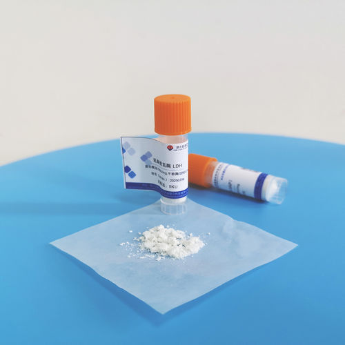 Latest company news about ¿La actividad de la glicerol quinasa es propensa a la inactivación? ¡No te pierdas estos detalles!