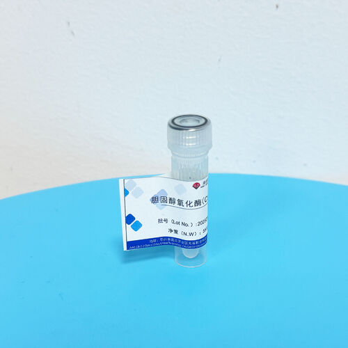 Latest company news about Secreto de conservación de preparaciones enzimáticas: Protección científica de la actividad catalítica